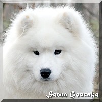 I Am