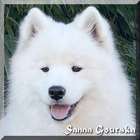 Lolita