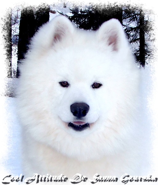 Atti