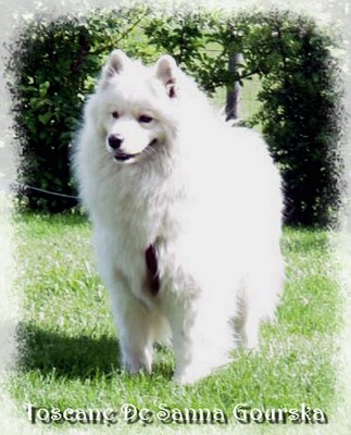 Toscane 3 ANS