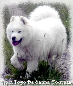 Togo