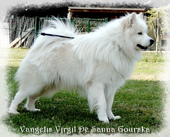 Virgil 20 mois (20 months)