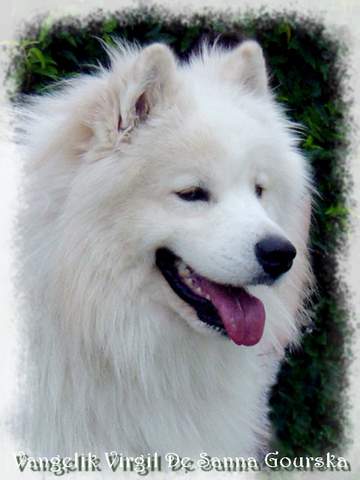 Virgil 20 mois (20 months)