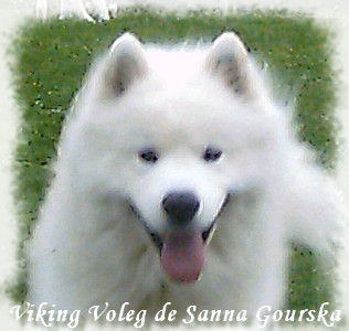 Voleg 2 ans (2 years)