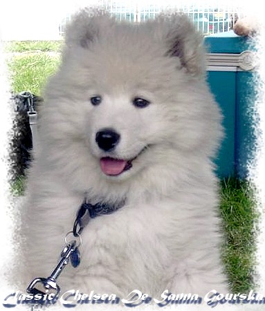 Chealsea 3 mois (3 months)