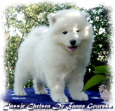 Chelsea