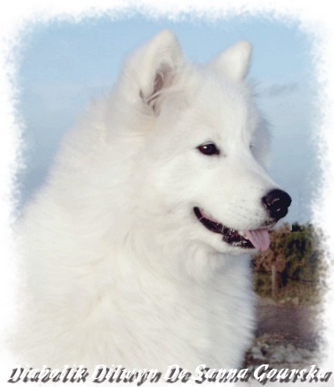 Dilwyn 6 mois (6 months)